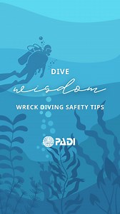 Wrecks are some of the most exciting dive sites in the world! 🤩 But they also require extra awareness and preparation. ⚓ Learn key safety tips to help you navigate wrecks confidently and make the most of every dive. ⭐️ Bonus tip: Explore PADI's Wreck Diver course to learn how to safely navigate different types of wrecks by understanding their layout, history, hazards, and practicing specialized wreck-diving skills. 🤿 @the_scubacouple #DiveWisdom #WreckDiving #ScubaDiving #ScubaEducation #DiveS