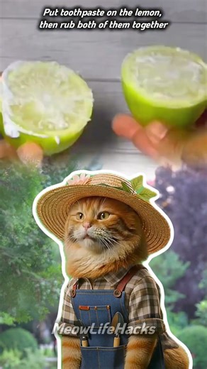 Instant Clean! Lemon & Toothpaste Kitchen Hack #lifehacks #tips #diy