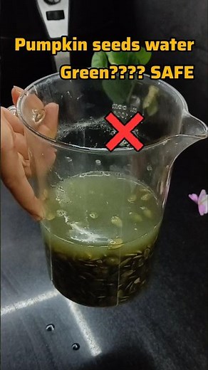 tips and tricks episode 69: pumpkin seeds water turns green SAFE??#shortsfeed