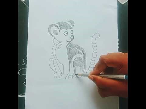 Learn how to draw lemur #youtube #lemur #drawing #youtubevideo #youtube #viral #drawingtutorial