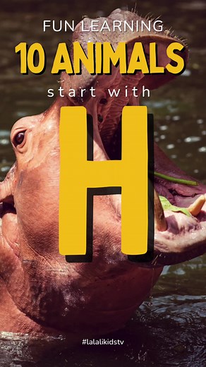 10 Happy Animals Starting with 'H'!