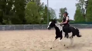 “I’m never changing who I am” ❤️ #foryou #fy #foryoupage #fyp #viral #goviral #horse #horses #equestrian #eq #fail #fails #sport #horsefail