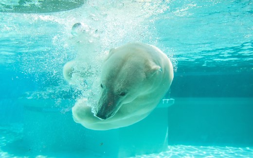 苹果电脑MAC系统如何批量新建文件夹