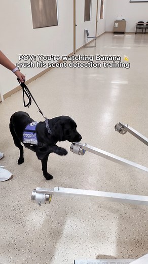 80K views · 1.2K reactions | On #WorldDiabetesDay, we’re celebrating...