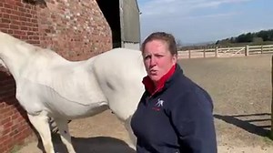 Here are 3 of my favourite 'Pilates' exercises for older horses. The 3 weight transfer exercises demonstrated are beneficial for all horses not just veterans. Remember exercises don't have to look dramatic to be effective! Benefits include:- 🐎 Recruiting core muscles 🐎 Mobilising fascia, 🐎 Gently loading limb tendons, ligaments and connective tissue 🐎 Challenging and improving their balance 🐎 Gently mobilising joints, promoting the production of synovial fluid 🐎 Stimulating proprioception,