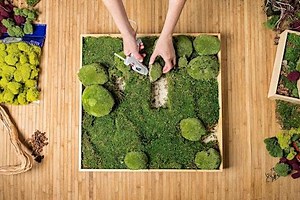 Moss Wall Art Workshop