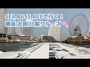 【ワクワクが止まらない】新造船「SEA BASS ACE」で行く！大岡川桜クルーズに乗船！ 2022.03.25