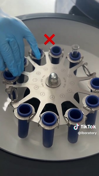 Exploring Life in the Lab: A Scientist's Journey