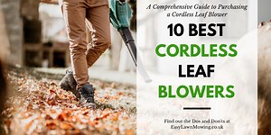 Exploring the Best Cordless Leaf Blowers: Top 10 Reviews | EasyLawnMowing