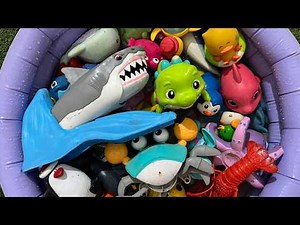 Learn Sea Animals for Kids | Ocean Animals Names & Fun Facts for Toddlers, Preschoolers & Kids