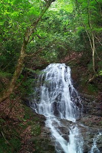 Breathtaking Waterfalls in Japan’s Paradise