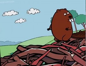 Peep and the Big Wide World Peep and the Big Wide World S02 E012 Dry Duck, Part 2