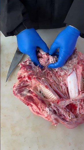 Butcher Pork Brains 🧠 | Most Satisfying Video #food #shorts
