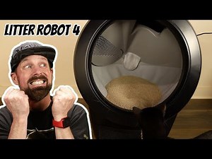 Litter-Robot 4 Review: Is This the Ultimate Cat Litter Solution?