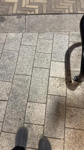 360-Degree View of Manchester's Iconic Architecture