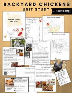 Backyard Chickens Unit Study