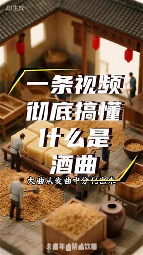 一条视频让你彻底搞懂什么是酒曲 #白酒 #酒知识 #酒文化 #酒曲
