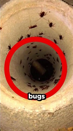 He Opened a Manhole… What He Found Will TERRIFY You 😳🪳