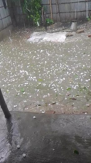 Mbsagor7476729 on TikTok