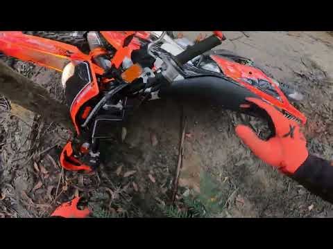 KTM 250 EXC TPI vs Tree