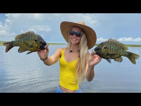 Cómo pescar Mojarras Caracoleras en un vlog súper divertido