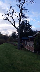 10K views · 33 reactions | Timber 2殺 | Aviemore Holiday Park | Facebook