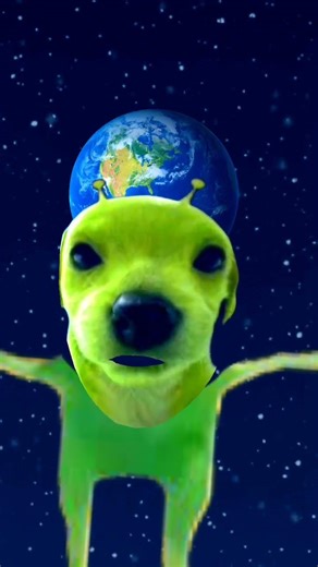 Pablo #pablo #alien #chien #pourtoi #foryou #funny #marrant