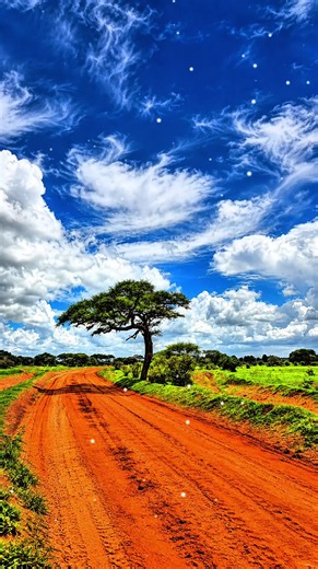 Farm Life: Peaceful Namibian Farming Scenes and Rural Nature