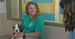 All pets adopted at Minneapolis Animal Care & Control's free adoption event