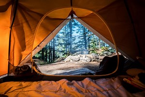 A Taste of Travel: 6 Essential Snacking Options For Your Camping Trip