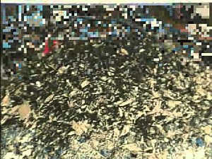 Franklin Miller Super Shredder