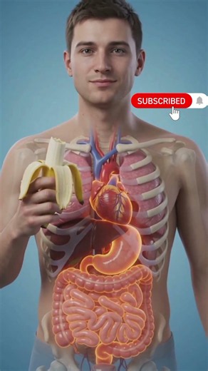 What Happens Inside Your Body When You Eat a Banana and Onions