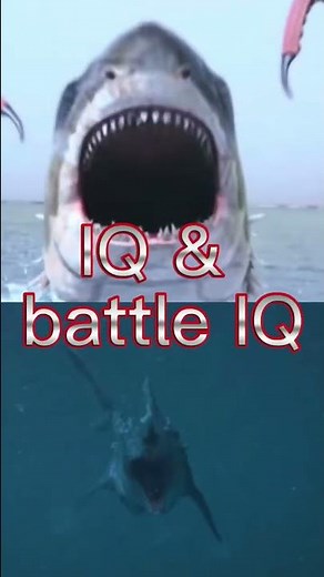 Sharktopus vs Dinoshark