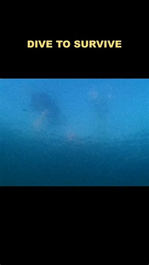 Mr L on Instagram: "Can you survive the blast by diving..? #science #biology #education #physics #technology #research #chemistry #space #engineering #nature #art #stem #astronomy #scientist #explore #mythbusting"