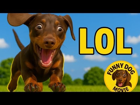 Funny Dog Movie | Naughty Puppy Moments That Will Make You Laugh