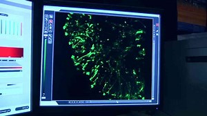 We taught robots to reproduce... and now they’re scaling