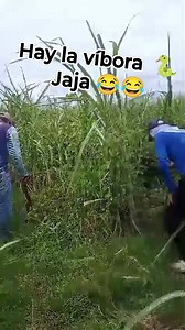 1.7K views · 54K reactions | Aguas con la víbora  jaja 藍 #videoviralシ #mexico #grullo #autlandenavarro #Guadalajara #Tijuana #canada #Jalisco #usa #Ensenada | Luis Daniel Gonzalez Lopez | Facebook