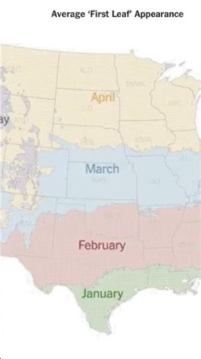 Average 'First Leaf' Appearance in the contiguous U.S.