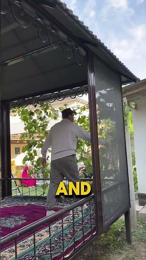 He Built the Most Effective Outdoor Insect Shield – And It Actually Works!