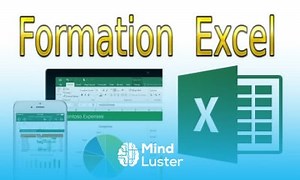 Mind Luster - Learn 1 Présentation générale du tableur Microsoft Excel