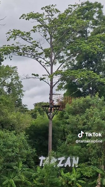 #TarzanZipline #pattayazipline #tarzanzipline #activity #thai #Thailand #friendship #trip #outing #journey #travel #kids #zipline Tarzan Adventure Pattaya