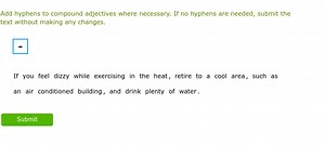 Add hyphens to compound adjectives where necessary. If no hyphe... | Filo