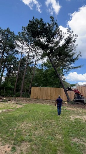 31 reactions | Free estimate ☎️(678) 457-3487 ☎️(678) 677-9102 #treeservice #treework #treeremoval #tree #treecutting #treetrimming #atlanta #estimate #quote #landscaping #Geogia #stumpgrindingservices #treepruning | Jireh Tree Services & Landscaping | Facebook