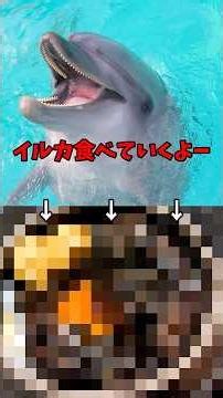 I'm eating dolphin meat