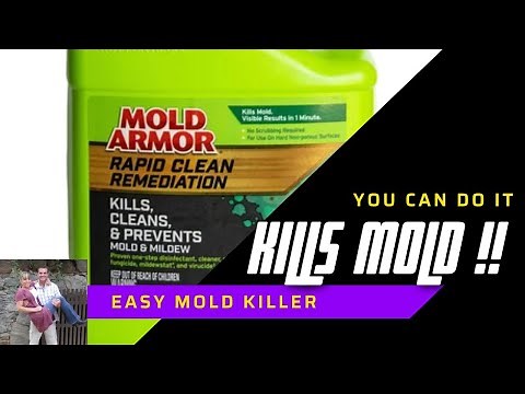Easy Mold Armor Rapid Clean Remediation How To #homeimprovement #moldarmor #diy