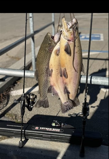 Exploring Slab City Fishing Adventures