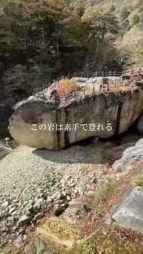 那須高原のおすすめスポットを紹介#那須高原 #栃木県 #観光 #絶景
