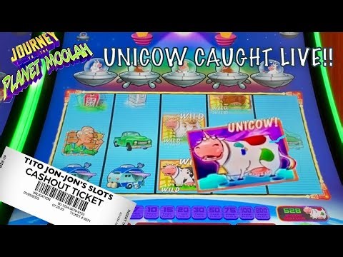UNICOW caught Live! Journey to the Planet Moolah live play hitting big bonuses! 🎰