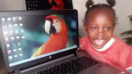 Create a WiFi Password QR Code in Word Document