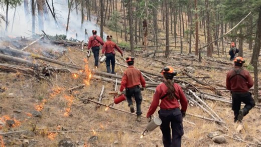 BC Wildfire Services recruiting firefighters for next season - BC News